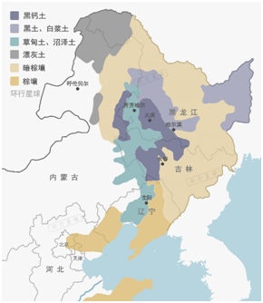 同时,这里还拥有另一个得天独厚的自然资源——黑土地,黑土