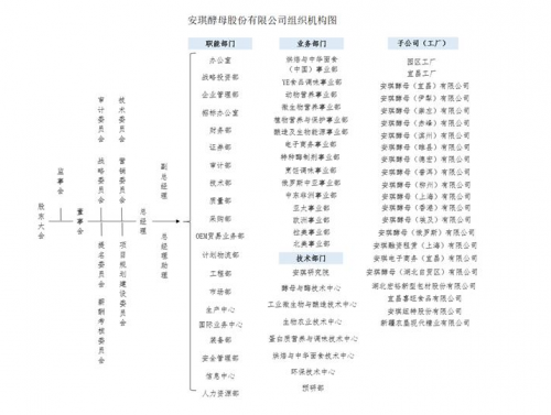 快讯｜安琪酵母：因国际化发展需要，设立国际业务中心及六大海外事业部