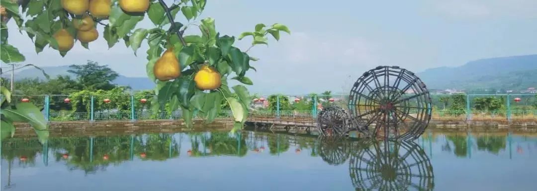 节气里的中国·惊蛰｜一起走进乡野，感受松弛慢生活