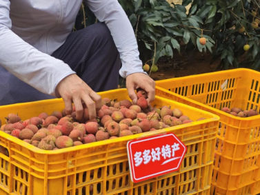 【定】电商进入高质量发展关键期，专家“把脉开方”，生态赋能成电商发展新方向2169